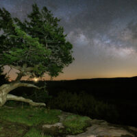 Taken June 2021 while hammock camping at the pouroff. I used a Canon 6D mark ii with a Tamron 15-30 f/2.8 lens; LLL was used to illuminate the tree but the light pollution on the horizon as well as the light burst through the tree causes quite the distraction from the scene. It also made it hard to hone in on the correct temperature in camera.